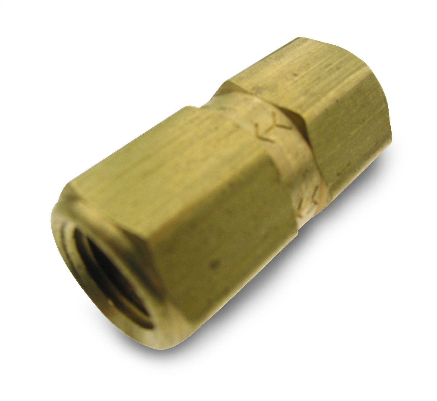 Check Valve-1/4in FNPT x 1/4in FNPT