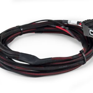 Comp Harness