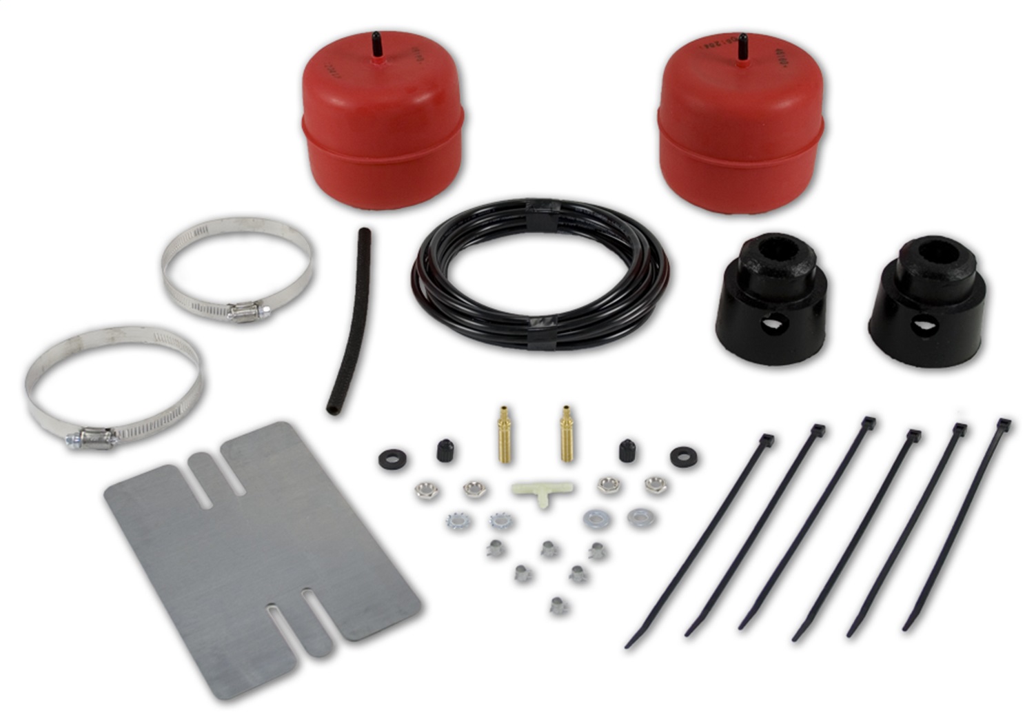 AIR LIFT 1000 air spring kit.