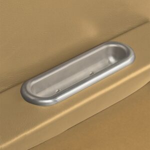 Arm Rest Door Pull