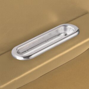 Arm Rest Door Pull