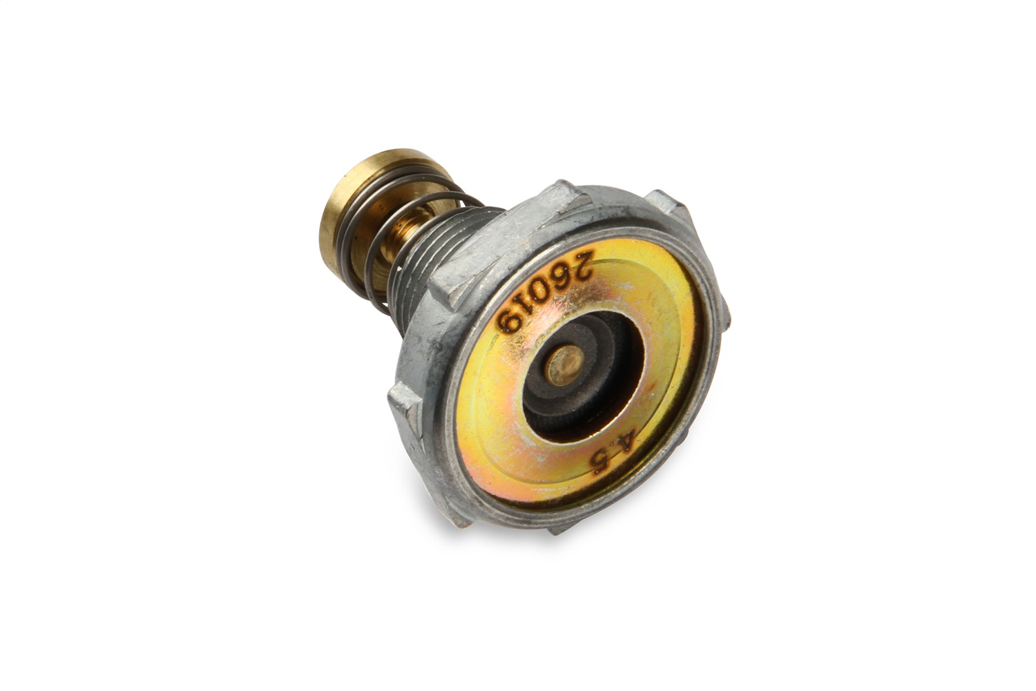 Renew Carburetor Rebuild Kit - Image 10