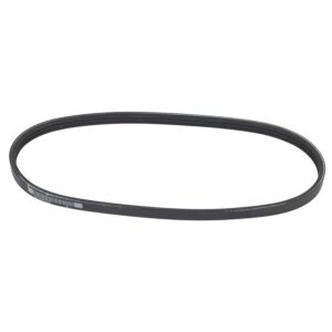Serpentine Drive Belt