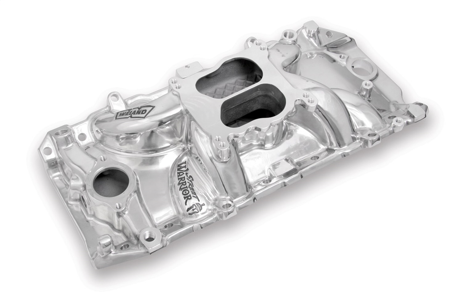 Street Warrior™ Intake Manifold