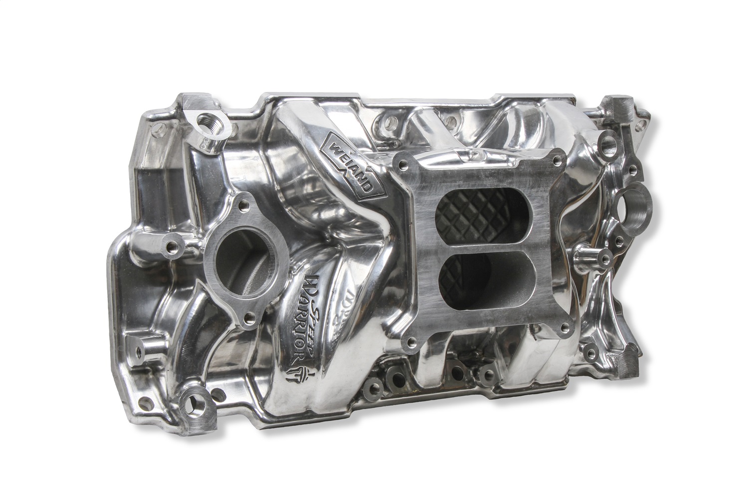 Speed Warrior™ Intake Manifold - Image 2