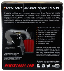 AEM DryFlow Air Filter - Image 2