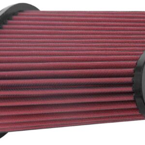 AEM DryFlow Air Filter