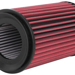 AEM DryFlow Air Filter