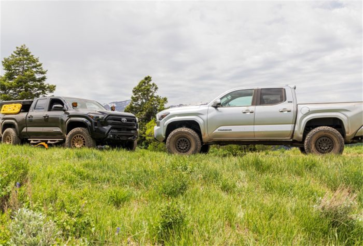 SST® Suspension System - Image 3