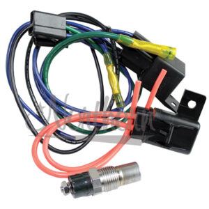 Northern Radiator Z40078 Screw-In Type Relay & Temperature Switch Kit